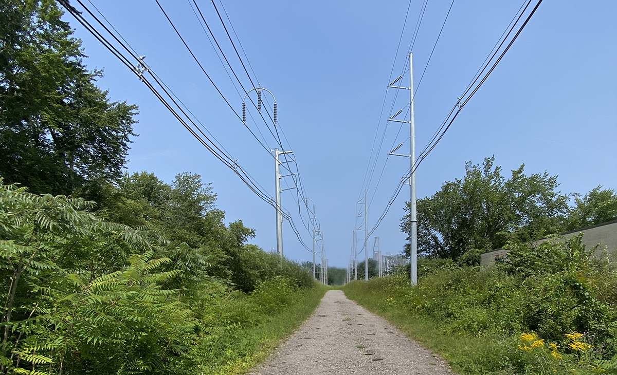 Rockingham 115-kV Supply Line